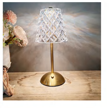  DL1099-1 Masa Lambası